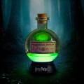 hcf-lights0034 4