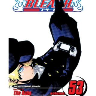 Manga - Bleach Vol. 53