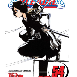 Manga - Bleach Vol. 54
