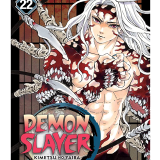 Manga - Demon Slayer Vol. 22