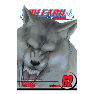 Manga - Bleach Vol. 62