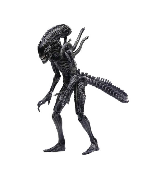fgrs00025 0